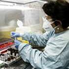 Lo scienzito: «Virus nato da errore in laboratorio a Wuhan, 600 gli indizi»