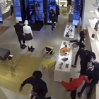 Chicago, 14 ladri saccheggiano in pieno giorno Louis Vuitton: bottino da 120 mila dollari