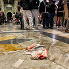 immagine Napoli, 17enne accoltellato dal branco: «Aggressori ancora liberi e impuniti»