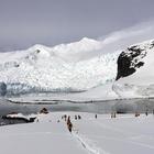 Caldo record in Antartide: oltre 18 gradi nella terra dei ghiacci
