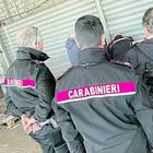 Concorsi pubblici, assunzioni per 11mila tra carabinieri, polizia, Finanza e vigili del fuoco. E da Fs 300 euro a tutti i dipendenti