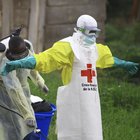 Ebola, impennata di casi: ora il virus fa paura