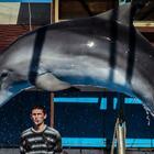 Putin raddoppia i delfini da guerra in Crimea