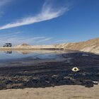 California, guasto a un oleodotto: la marea nera sulla costa sta uccidendo pesci e uccelli