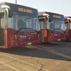 Le peggiori 10 linee di autobus e tram bocciate dai cittadini