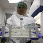 Virus Langya scoperto in Cina