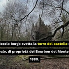 La magia e la biodiversità del Bosco del Sasseto in Tuscia, dove regna la natura