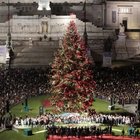 Roma, parte la "caccia" al nuovo albero di Natale: ecco l'avviso online
