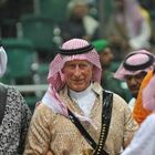Principe Carlo e i soldi di Bin Laden 