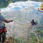 Roma, 38enne morto annegato nel lago: il cadavere recuperato dai sommozzatori