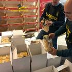 Falsa pasta Igp Gragnano sequestrata in un pastificio consorziato