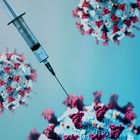 Vaccino Oxford, al via fase 2-3 sperimentazione in Uk e Brasile