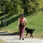 «Il tuo cane l'ha fatta su di me», scoppia la lite al parco: uomo di 31 anni ucciso a coltellate