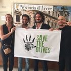 Xylella, nasce "save the Olives"
il 21 luglio concerto a Tiggiano
con i cameristi della Scala Xylella, nasce "save the Olives"
il 21 luglio concerto a Tiggiano
con i cameristi della Scala