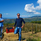 immagine Pollica, sarà presentata al Vinitaly la prima bottiglia del vino della Dieta Mediterranea