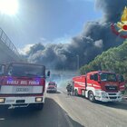 Incendi, la pineta Dannunziana di Pescara devastata: le fiamme partite da un canneto