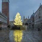 Venezia, acceso l'albero di Natale con i giochi di luci dell'artista Plessi
