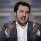 Gelo di Salvini
