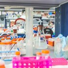 Aism, Airc e Telethon chiedono al governo l'ok alle misure per ridurre i costi della ricerca biomedica non-profit