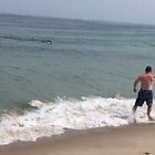 Bambina attaccata da uno squalo mentre nuota, grave in ospedale