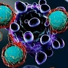 Tumori, il vaccino universale anti-cancro in un nuovo studio: «È capace di bloccare le cellule malate»