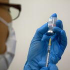 Lo studio Usa: l'immunità dopo il vaccino «potrebbe durare anche per tutta la vita»