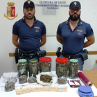 Marijuana tra le balle di fieno: arrestato 39enne Marijuana tra le balle di fieno: arrestato 39enne