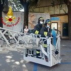 Perugia, i vigili del fuoco salvano pappagallo fuggito da tre giorni