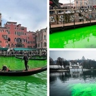 Eco-vandali: attivisti di Extinction Rebellion colorano di verde le acque italiane: dal Canal Grande al Naviglio, dal Tevere al Po