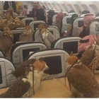 Principe saudita prenota 80 posti a sedere sull'aereo per i suoi rapaci: le foto lasciano senza parole