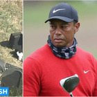 Tiger Woods choc, si è ribaltato con l'auto: estratto dalle lamiere, fratture multiple alle gambe