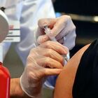 Vaccino, Garattini: «È più probabile morire cadendo dal letto, timori sono sproporzionati»