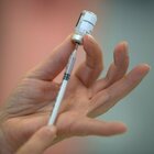 Vaccino, il racket dei falsi Pfizer