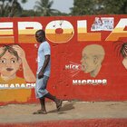 Ebola, la Guinea dichiara nuova epidemia: tre morti, Oms pronta a inviare vaccini