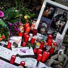 Strage di scimmie allo zoo di Krefeld: l'incendio scatenato da una lanterna cinese