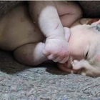 Neonato partorito sotto le macerie