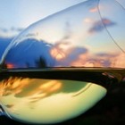 Export da record per il vino: 6 miliardi e il Prosecco la fa da padrone, crescono Cina e Russia