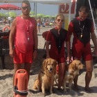 Venezia, bimbo di 9 anni rischia di annegare per toccare una boa: salvato dai cani bagnini