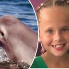 Bambina in vacanza ferita e trascinata sott'acqua da due delfini: «Gli addestratori se ne sono lavati le mani»