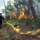 Incendi, Sardegna: operano 1.315 imprese