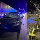 Maltempo a Mestre, albero cade in tangenziale e colpisce un'auto: un ferito. Lunghe code