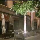 Branco di cinghiali in centro a Viterbo nella notte: la caccia ai rifiuti