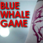 IL PRECEDENTE Blue Whale, ragazza di 13 anni si uccide con il fucile del padre