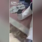 Usa, video shock: poliziotto atterra e ammanetta 12enne ispanica