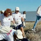 Volontari ripuliscono la spiaggia e trovano droga