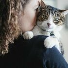 Allergico ai gatti chiede alla fidanzata di cedere il suo: lei prende l'animale e va via di casa