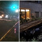 Roma, alberi crollati e danni dai Parioli a Torrevecchia: l'incuria del Campidoglio