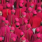 Chiesa, la Cei e le riforme: niente celibato dei preti e sacerdozio femminile