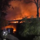 Strage di scimmie in un incendio allo zoo di Krefeld, 30 animali uccisi dalle fiamme