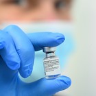 Vaccino Pfizer in ritardo, allarme D'Amato: Nel Lazio piano dimezzato»